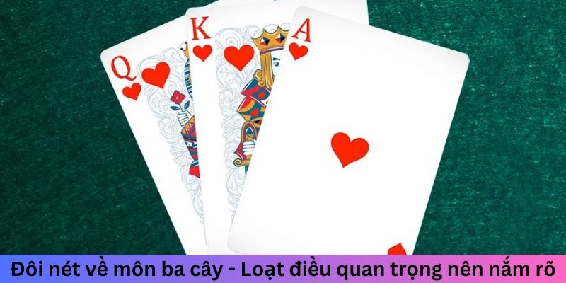Đôi nét về môn ba cây - Loạt điều quan trọng nên nắm rõ